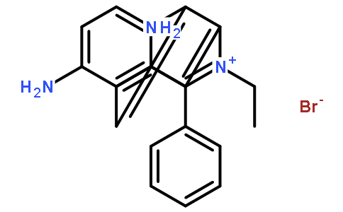荧光探针，标记，颗粒和染色1239-45-8