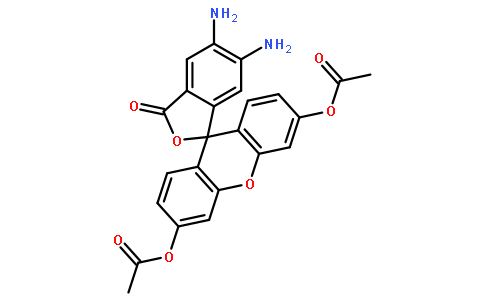 荧光探针，标记，颗粒和染色205391-02-2