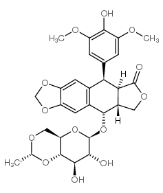 酶与辅酶33419-42-0