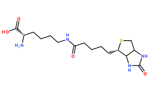 荧光探针，标记，颗粒和染色576-19-2