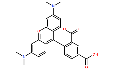 荧光探针，标记，颗粒和染色91809-66-4