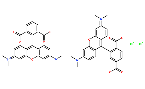 荧光探针，标记，颗粒和染色98181-63-6