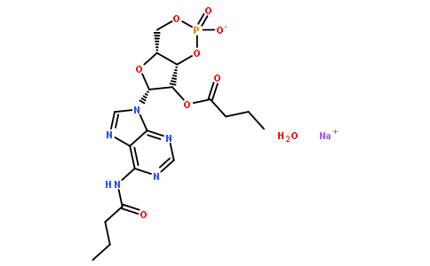 细胞信号和神经生物学16980-89-5