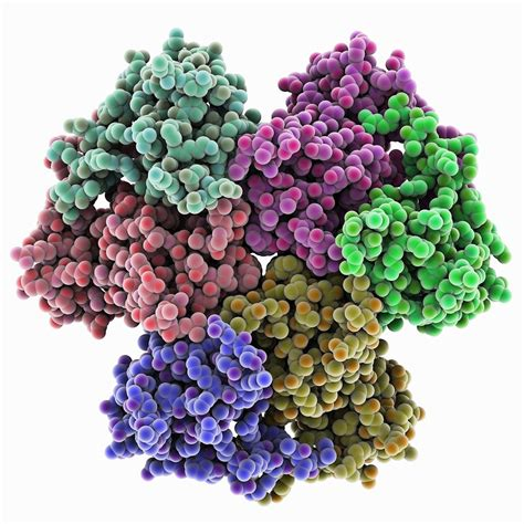 细胞信号和神经生物学87218-84-6