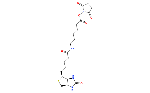 聚乙二醇修饰剂72040-63-2