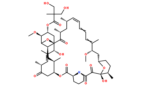 PI3K/Akt/mTOR162635-04-3