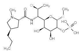 其他分子24729-96-2