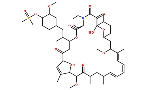 PI3K/Akt/mTOR572924-54-0