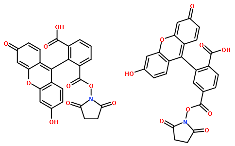 荧光探针，标记，颗粒和染色117548-22-8