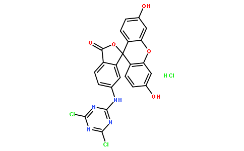 荧光探针，标记，颗粒和染色118357-32-7