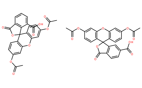 荧光探针，标记，颗粒和染色124387-19-5