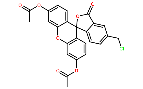 荧光探针，标记，颗粒和染色136832-63-8