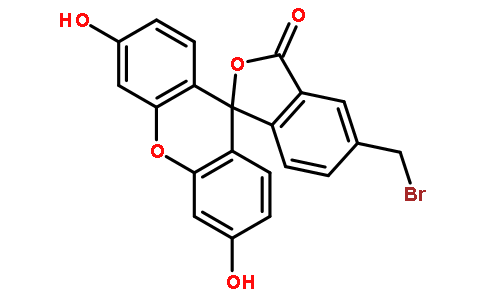 荧光探针，标记，颗粒和染色148942-72-7