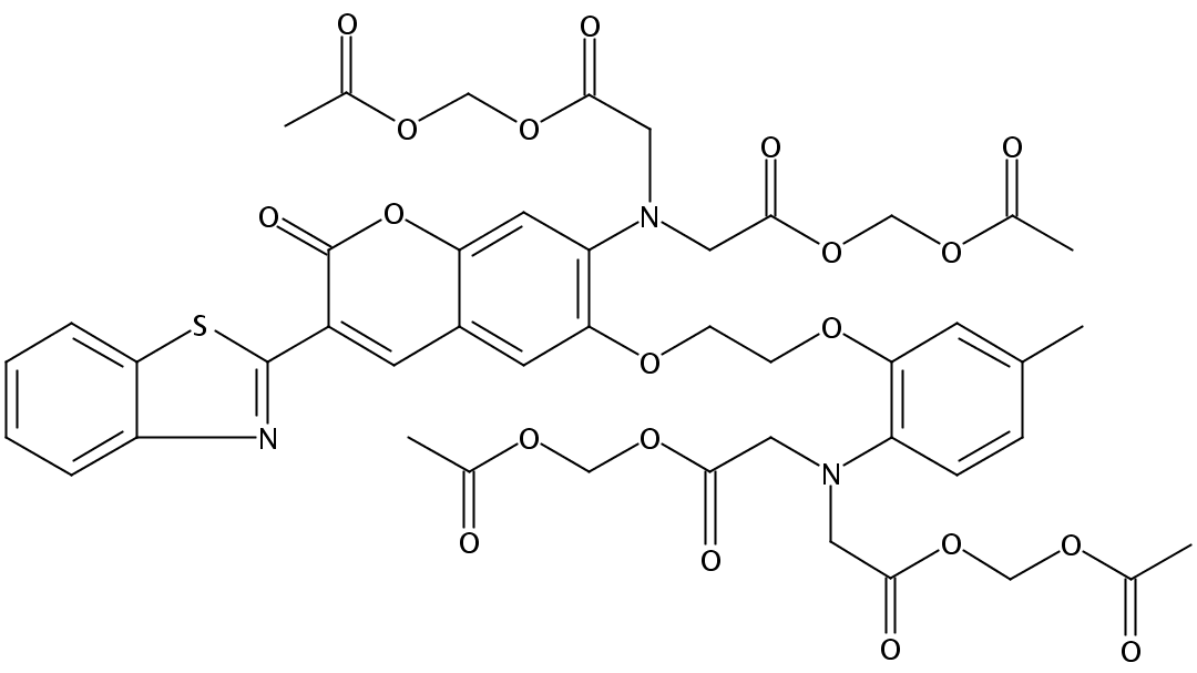 荧光探针，标记，颗粒和染色176767-94-5