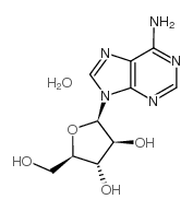 核苷，核苷酸，寡核苷酸24356-66-9