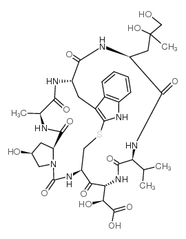 荧光探针，标记，颗粒和染色26645-35-2