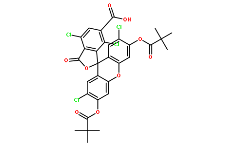 荧光探针，标记，颗粒和染色314734-87-7