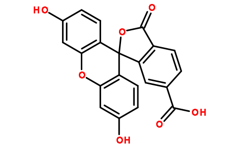 荧光探针，标记，颗粒和染色3301-79-9
