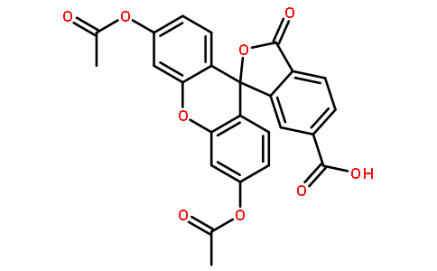 酶与辅酶3348-03-6