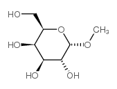 碳水化合物3396-99-4