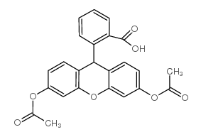 荧光探针，标记，颗粒和染色35340-49-9
