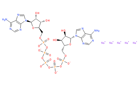 酶与辅酶4097-04-5