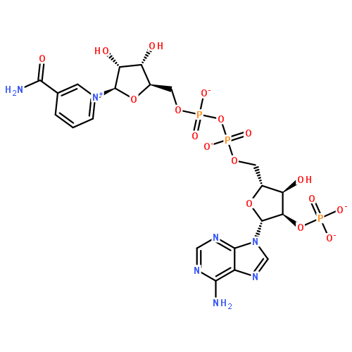 核苷，核苷酸，寡核苷酸53-59-8