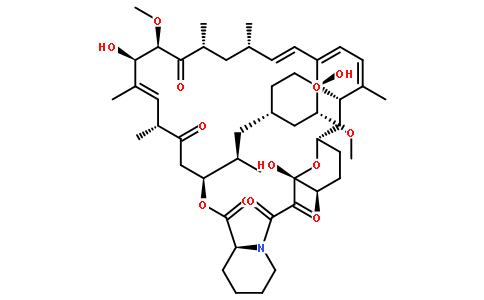 抗生素53123-88-9