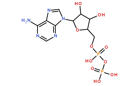 核苷，核苷酸，寡核苷酸58-64-0