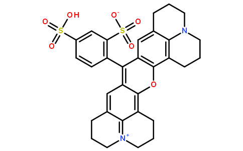 荧光探针，标记，颗粒和染色60311-02-6