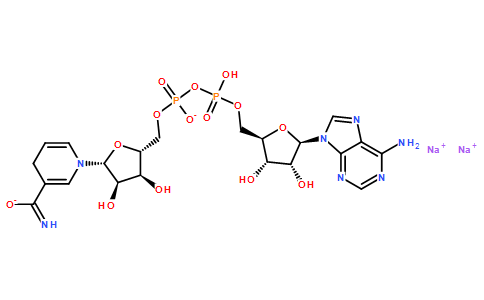 酶与辅酶606-68-8