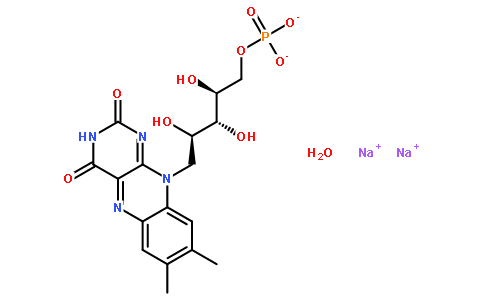 核苷，核苷酸，寡核苷酸6184-17-4