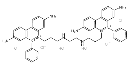荧光探针，标记，颗粒和染色61926-22-5