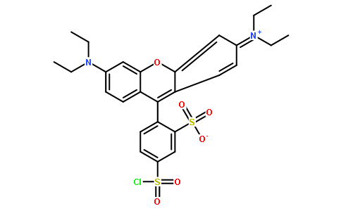 荧光探针，标记，颗粒和染色62796-29-6