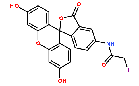 荧光探针，标记，颗粒和染色63368-54-7
