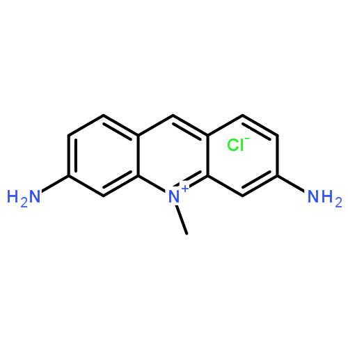 荧光探针，标记，颗粒和染色8048-52-0