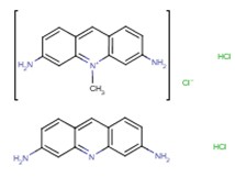 荧光探针，标记，颗粒和染色8063-24-9