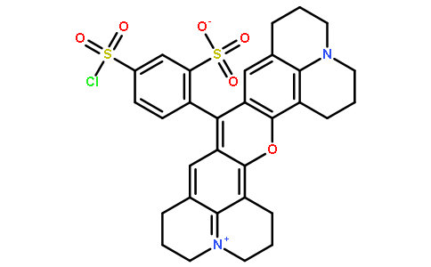 荧光探针，标记，颗粒和染色82354-19-6