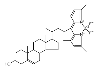 脂类878557-19-8