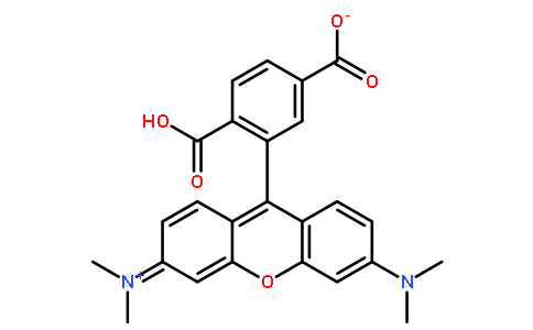 荧光探针，标记，颗粒和染色91809-67-5