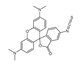 荧光探针，标记，颗粒和染色95197-95-8