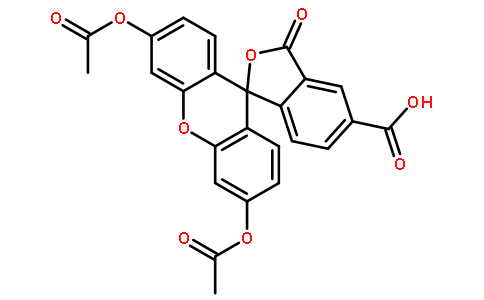 染色剂和染料79955-27-4