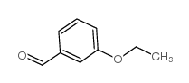 合成22924-15-8